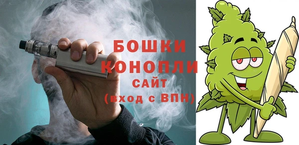 эйфоретик Ельня